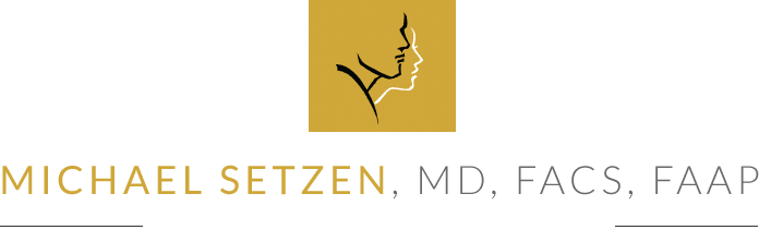 Michael Setzen Otolaryngology, PC great neck, manhattan