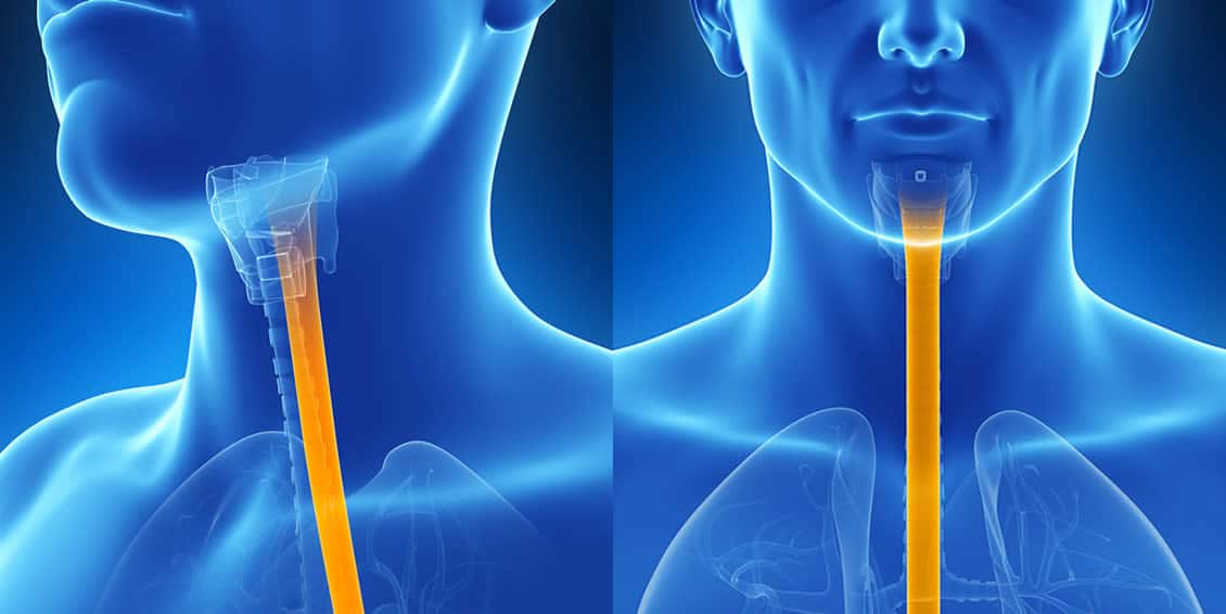 Michael Setzen Otolaryngology, PC great neck, manhattan: Transnasal Esophagoscopy (TNE)